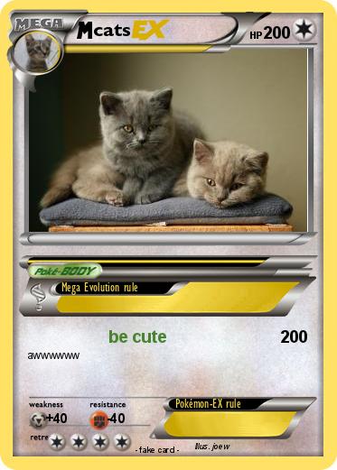 Pokemon cats