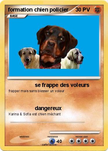 Pokemon formation chien policier