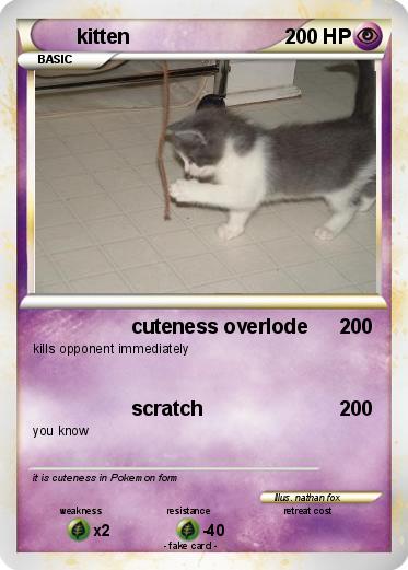 Pokemon kitten