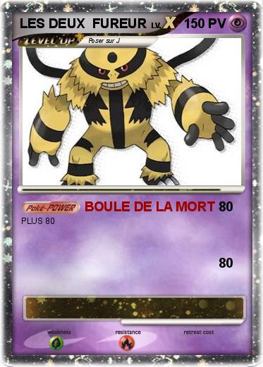 Pokemon LES DEUX  FUREUR