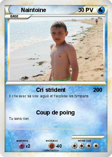 Pokemon Naintoine