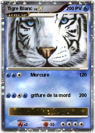 Pokemon Tigre Blanc
