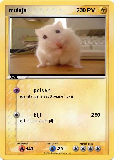 Pokemon muisje                                2