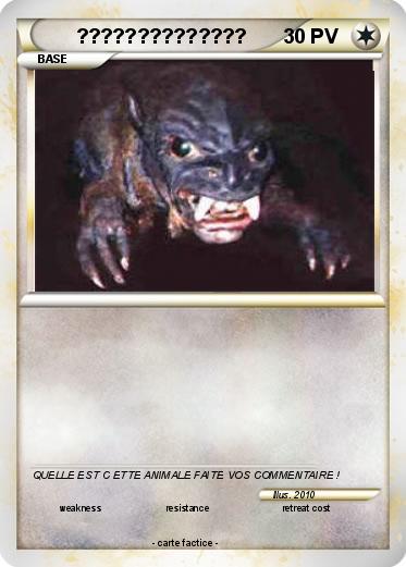 Pokemon ??????????????