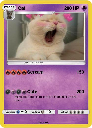 Pokemon Cat