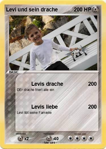 Pokemon Levi und sein drache