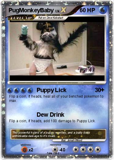 Pokemon PugMonkeyBaby