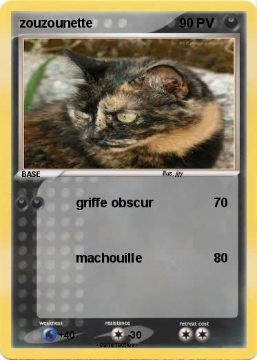 Pokemon zouzounette