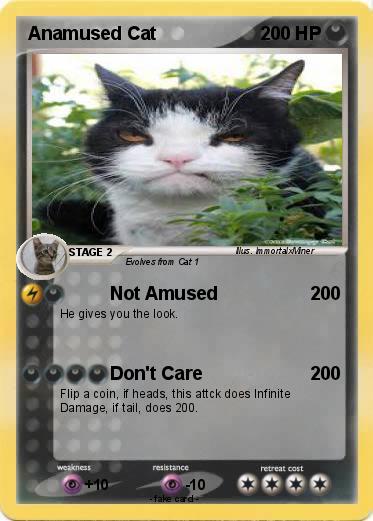 Pokemon Anamused Cat