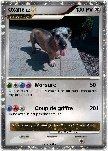 Pokemon Oxane