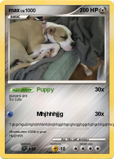 Pokemon max