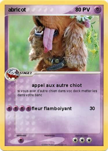 Pokemon abricot