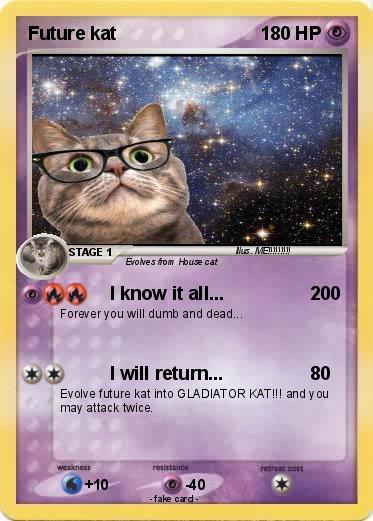 Pokemon Future kat