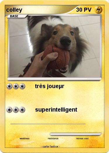 Pokemon colley