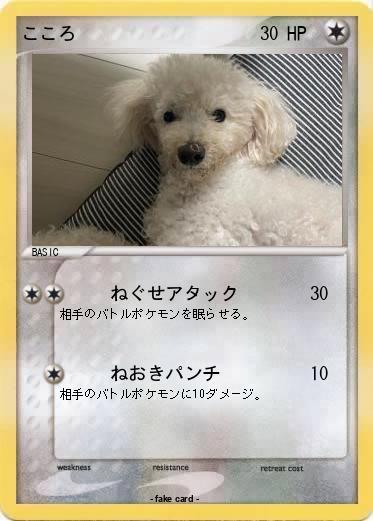 Pokemon こころ