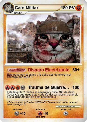 Pokemon Gato Militar