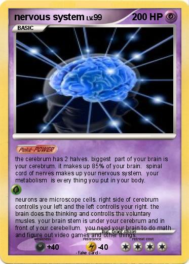 Pokemon nervous system