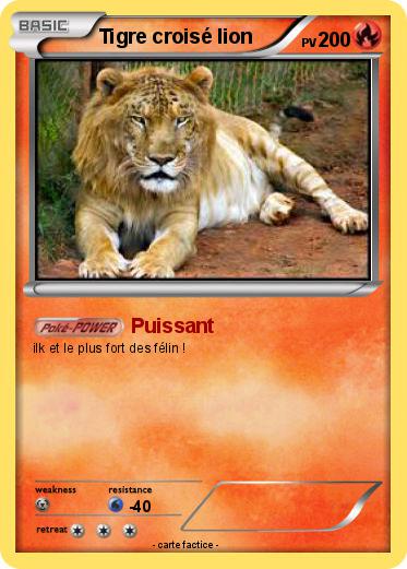Pokemon Tigre croisé lion