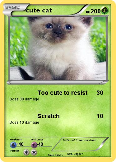 Pokemon cute cat