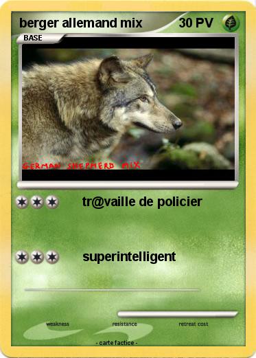 Pokemon berger allemand mix