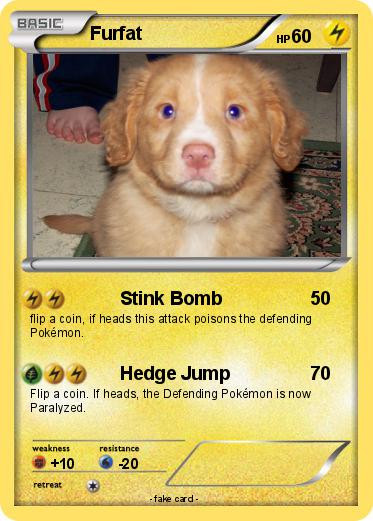 Pokemon Furfat