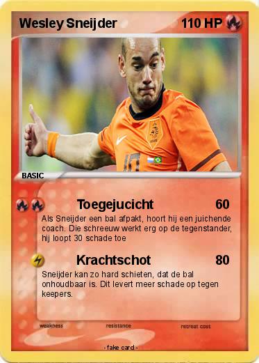 Pokemon Wesley Sneijder