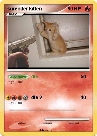 Pokemon surender kitten