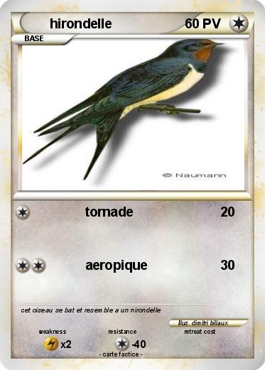 Pokemon hirondelle