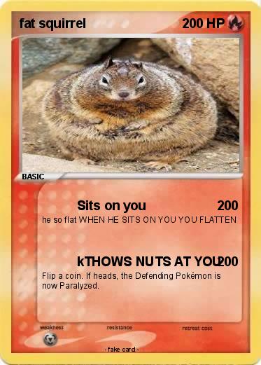 Pokemon fat squirrel