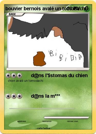 Pokemon bouvier bernois avalé un tomodachi