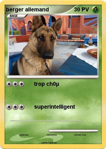 Pokemon berger allemand