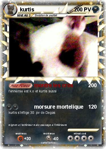 Pokemon kurtis