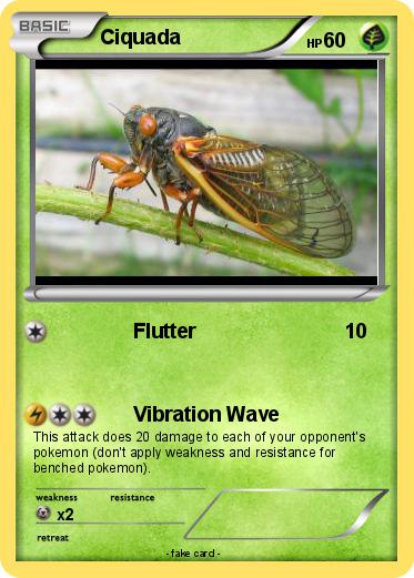 Pokemon Ciquada