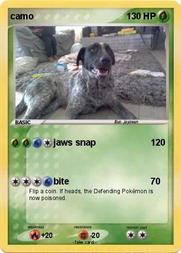Pokemon camo