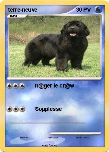 Pokemon terre-neuve