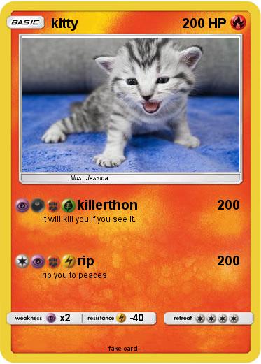 Pokemon kitty