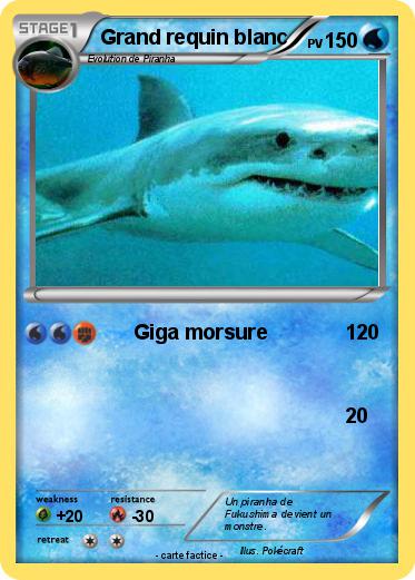 Pokemon Grand requin blanc
