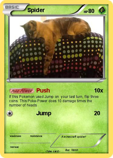 Pokemon Spider