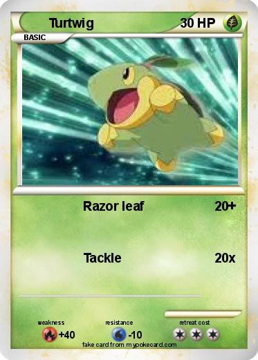 Pokemon Turtwig