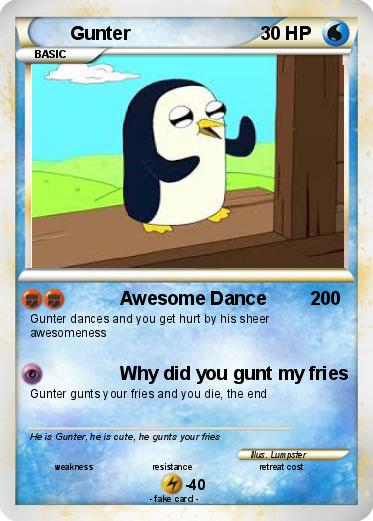 Pokemon Gunter