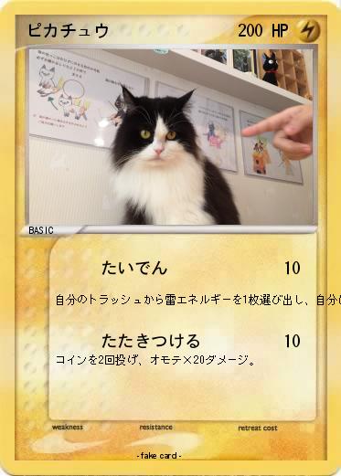 Pokemon ピカチュウ