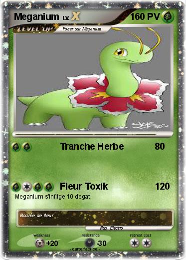Pokemon Meganium