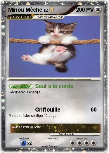 Pokemon Minou Mèche