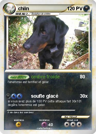Pokemon chiin