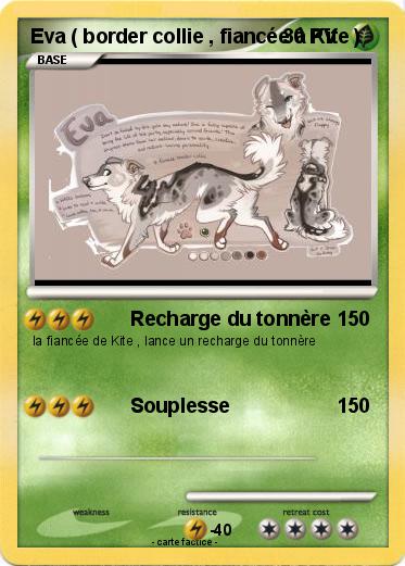 Pokemon Eva ( border collie , fiancée à Kite )