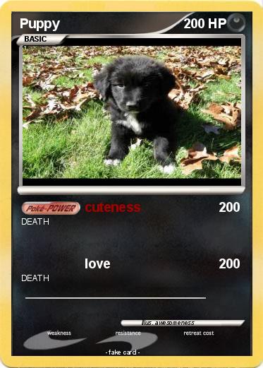 Pokemon Puppy