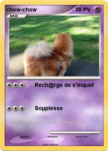 Pokemon chow-chow
