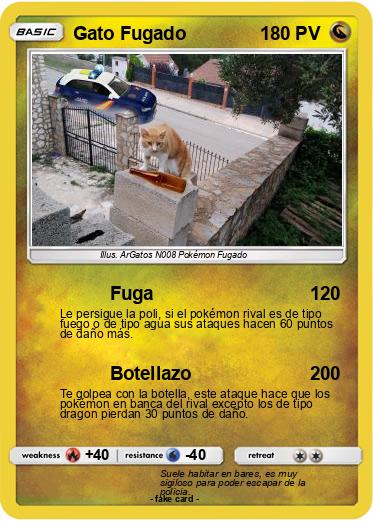 Pokemon Gato Fugado