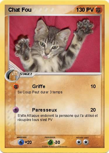 Pokemon Chat Fou