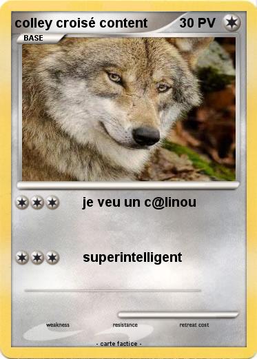 Pokemon colley croisé content